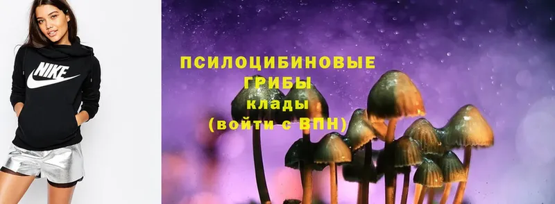 Псилоцибиновые грибы Psilocybe  Починок 